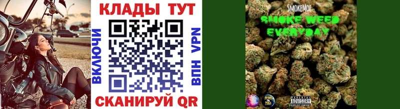 Где купить Новозыбков A-PVP МЕФ ГАШ Амфетамин Cocaine