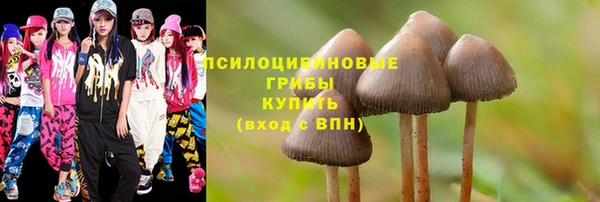 соль ск Алексеевка
