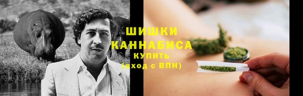 соль ск Алексеевка