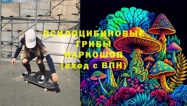 PSILOCYBIN Алексин