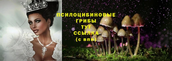 PSILOCYBIN Алексин
