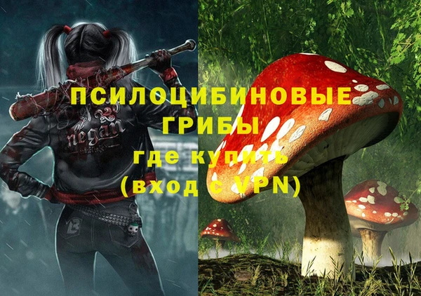 PSILOCYBIN Алексин