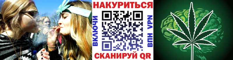 наркотики  Новозыбков  Каннабис Amnesia 
